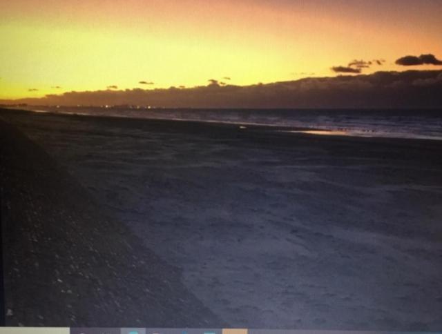 Appartement Studio Face A La Mer Bray-Dunes Buitenkant foto